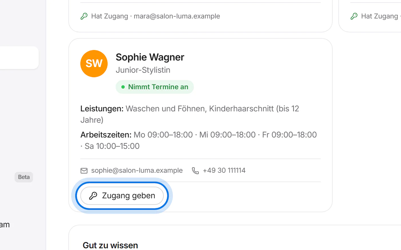 Karte von Sophie Wagner unter „Team“, der Knopf „Zugang geben“ ist markiert.
